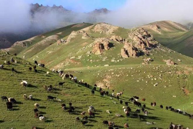 山地之國——吉爾吉斯斯坦 畜牧業與家禽家畜文化